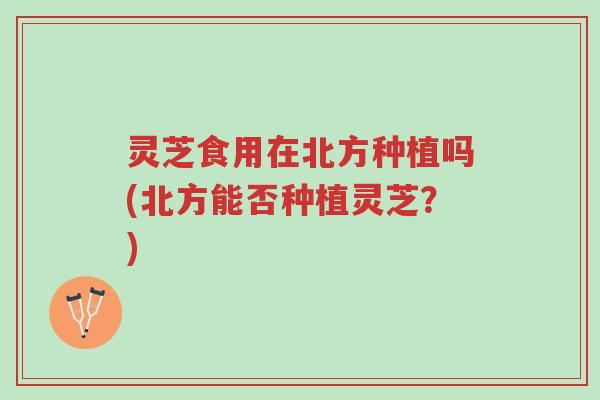 灵芝食用在北方种植吗(北方能否种植灵芝?)-第1张图片-超越 灵芝食用在北方种植吗(北方能否种植灵芝?)-第1张图片-超越