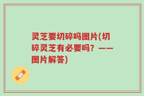 灵芝要切碎吗图片(切碎灵芝有必要吗?——图片解答)-第1张图片-超越 灵芝要切碎吗图片(切碎灵芝有必要吗?——图片解答)-第1张图片-超越