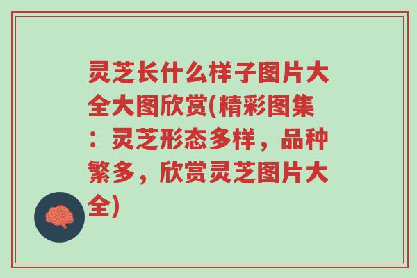 灵芝长什么样子图片大全大图欣赏(精彩图集：灵芝形态多样，品种繁多，欣赏灵芝图片大全)-第1张图片-超越