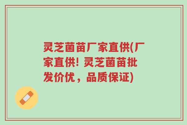 灵芝菌苗厂家直供(厂家直供! 灵芝菌苗批发价优,品质保证)-第1张图片-超越 灵芝菌苗厂家直供(厂家直供! 灵芝菌苗批发价优,品质保证)-第1张图片-超越