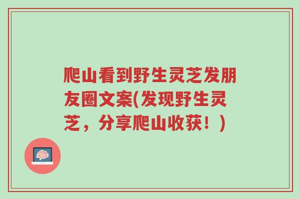 爬山看到野生灵芝发朋友圈文案(发现野生灵芝,分享爬山收获!)-第1张图片-超越 爬山看到野生灵芝发朋友圈文案(发现野生灵芝,分享爬山收获!)-第1张图片-超越