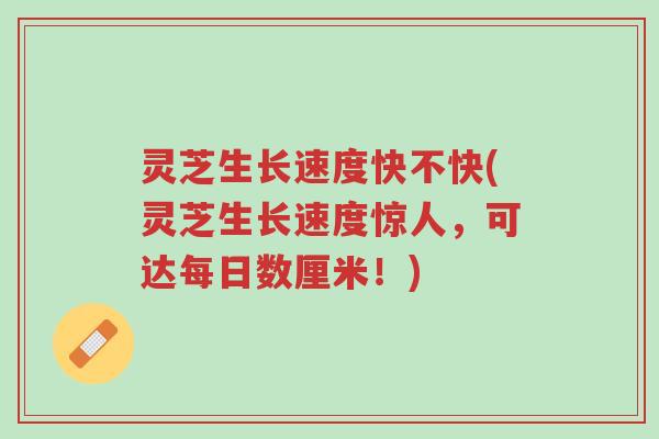 灵芝生长速度快不快(灵芝生长速度惊人,可达每日数厘米!)-第1张图片-超越 灵芝生长速度快不快(灵芝生长速度惊人,可达每日数厘米!)-第1张图片-超越