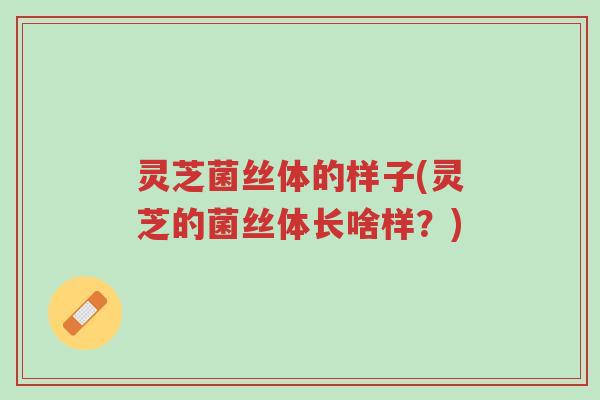 灵芝菌丝体的样子(灵芝的菌丝体长啥样?)-第1张图片-超越 灵芝菌丝体的样子(灵芝的菌丝体长啥样?)-第1张图片-超越