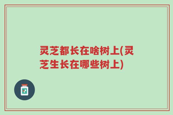 灵芝都长在啥树上(灵芝生长在哪些树上)-第1张图片-超越 灵芝都长在啥树上(灵芝生长在哪些树上)-第1张图片-超越