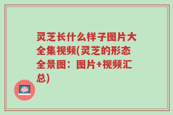 灵芝长什么样子图片大全集视频(灵芝的形态全景图:图片+视频汇总)-第1张图片-超越 灵芝长什么样子图片大全集视频(灵芝的形态全景图:图片+视频汇总)-第1张图片-超越