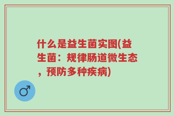 什么是益生菌实图(益生菌:规律肠道微生态,预防多种疾病)-第1张图片-超越 什么是益生菌实图(益生菌:规律肠道微生态,预防多种疾病)-第1张图片-超越
