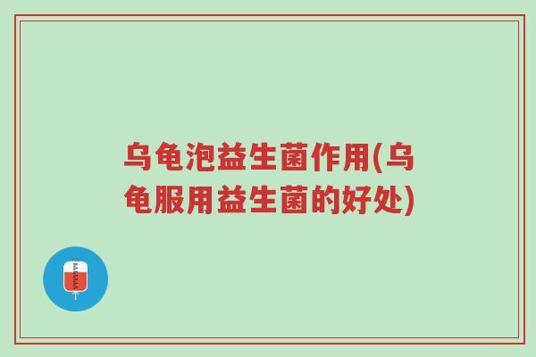乌龟泡益生菌作用(乌龟服用益生菌的好处)-第1张图片-超越 乌龟泡益生菌作用(乌龟服用益生菌的好处)-第1张图片-超越
