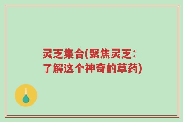 灵芝集合(聚焦灵芝:了解这个神奇的草药)-第1张图片-超越 灵芝集合(聚焦灵芝:了解这个神奇的草药)-第1张图片-超越