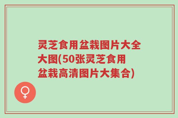 灵芝食用盆栽图片大全大图(50张灵芝食用盆栽高清图片大集合)-第1张图片-超越 灵芝食用盆栽图片大全大图(50张灵芝食用盆栽高清图片大集合)-第1张图片-超越