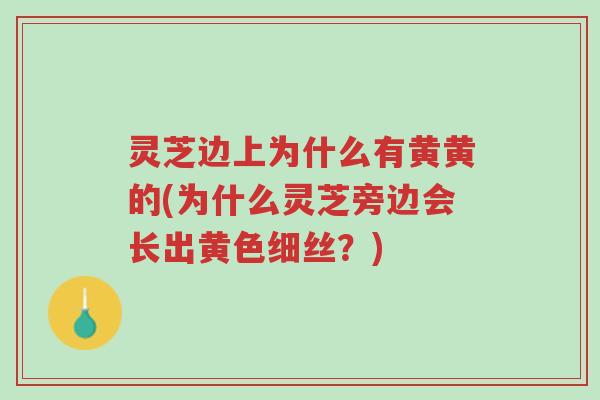 灵芝边上为什么有黄黄的(为什么灵芝旁边会长出黄色细丝?)-第1张图片-超越 灵芝边上为什么有黄黄的(为什么灵芝旁边会长出黄色细丝?)-第1张图片-超越