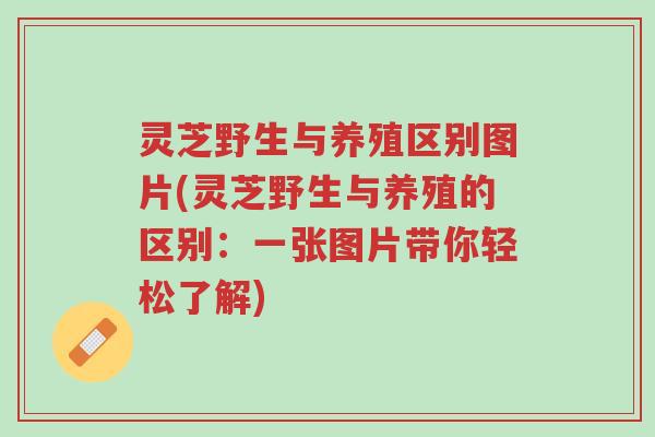 灵芝野生与养殖区别图片(灵芝野生与养殖的区别:一张图片带你轻松了解)-第1张图片-超越 灵芝野生与养殖区别图片(灵芝野生与养殖的区别:一张图片带你轻松了解)-第1张图片-超越