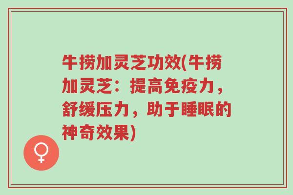 牛捞加灵芝功效(牛捞加灵芝:提高免疫力,舒缓压力,助于睡眠的神奇效果)-第1张图片-超越 牛捞加灵芝功效(牛捞加灵芝:提高免疫力,舒缓压力,助于睡眠的神奇效果)-第1张图片-超越