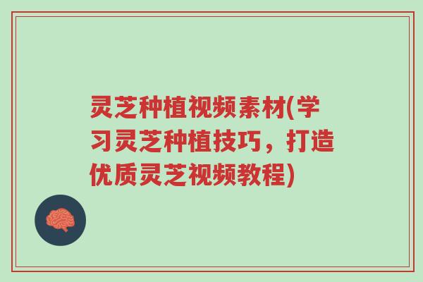 灵芝种植视频素材(学习灵芝种植技巧,打造优质灵芝视频教程)-第1张图片-超越 灵芝种植视频素材(学习灵芝种植技巧,打造优质灵芝视频教程)-第1张图片-超越