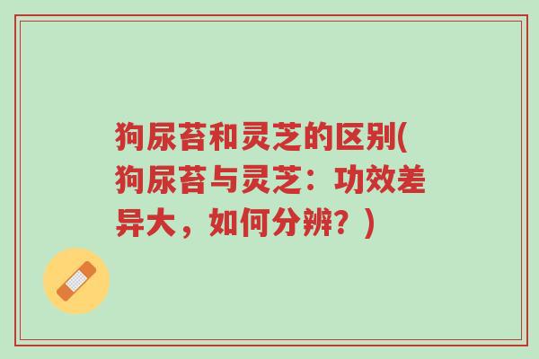 狗尿苔和灵芝的区别(狗尿苔与灵芝:功效差异大,如何分辨?)-第1张图片-超越 狗尿苔和灵芝的区别(狗尿苔与灵芝:功效差异大,如何分辨?)-第1张图片-超越