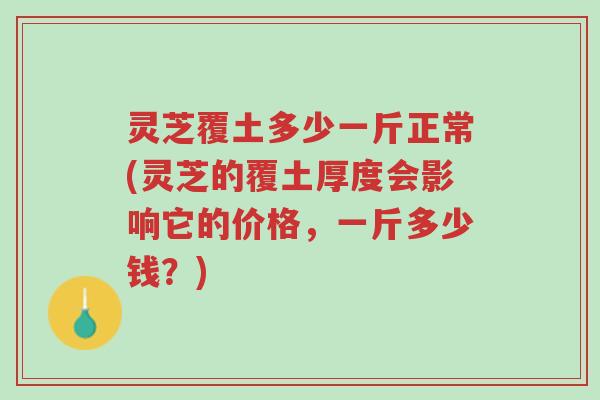 灵芝覆土多少一斤正常(灵芝的覆土厚度会影响它的价格,一斤多少钱?)-第1张图片-超越 灵芝覆土多少一斤正常(灵芝的覆土厚度会影响它的价格,一斤多少钱?)-第1张图片-超越