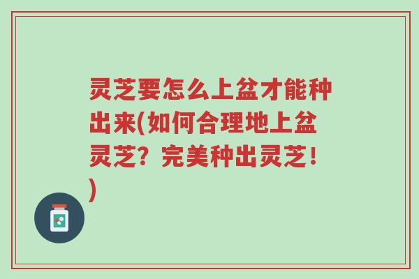 灵芝要怎么上盆才能种出来(如何合理地上盆灵芝?完美种出灵芝!)-第1张图片-超越 灵芝要怎么上盆才能种出来(如何合理地上盆灵芝?完美种出灵芝!)-第1张图片-超越