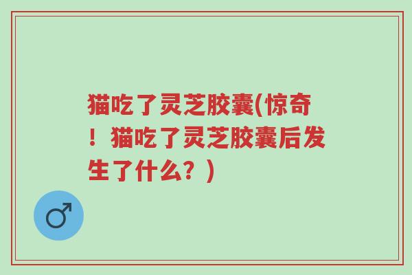 猫吃了灵芝胶囊(惊奇!猫吃了灵芝胶囊后发生了什么?)-第1张图片-超越 猫吃了灵芝胶囊(惊奇!猫吃了灵芝胶囊后发生了什么?)-第1张图片-超越