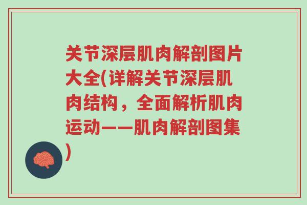 关节深层肌肉解剖图片大全(详解关节深层肌肉结构,全面解析肌肉运动——肌肉解剖图集)-第1张图片-超越 关节深层肌肉解剖图片大全(详解关节深层肌肉结构,全面解析肌肉运动——肌肉解剖图集)-第1张图片-超越