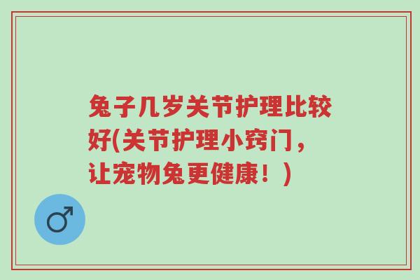 兔子几岁关节护理比较好(关节护理小窍门,让宠物兔更健康!)-第1张图片-超越 兔子几岁关节护理比较好(关节护理小窍门,让宠物兔更健康!)-第1张图片-超越