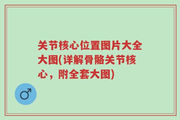 关节核心位置图片大全大图(详解骨骼关节核心，附全套大图)-第1张图片-超越