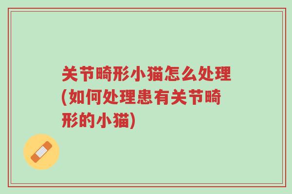 关节畸形小猫怎么处理(如何处理患有关节畸形的小猫)-第1张图片-超越 关节畸形小猫怎么处理(如何处理患有关节畸形的小猫)-第1张图片-超越