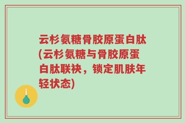 云杉氨糖骨胶原蛋白肽(云杉氨糖与骨胶原蛋白肽联袂,锁定肌肤年轻状态)-第1张图片-超越 云杉氨糖骨胶原蛋白肽(云杉氨糖与骨胶原蛋白肽联袂,锁定肌肤年轻状态)-第1张图片-超越