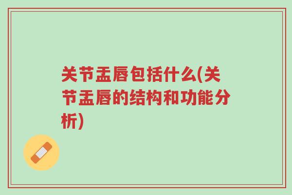 关节盂唇包括什么(关节盂唇的结构和功能分析)-第1张图片-超越 关节盂唇包括什么(关节盂唇的结构和功能分析)-第1张图片-超越