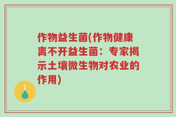 作物益生菌(作物健康离不开益生菌:专家揭示土壤微生物对农业的作用)-第1张图片-超越 作物益生菌(作物健康离不开益生菌:专家揭示土壤微生物对农业的作用)-第1张图片-超越
