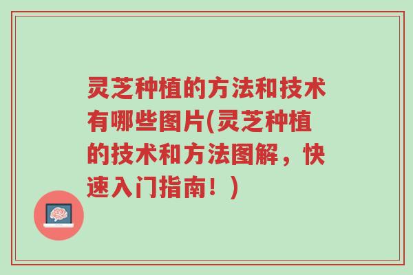 灵芝种植的方法和技术有哪些图片(灵芝种植的技术和方法图解,快速入门指南!)-第1张图片-超越 灵芝种植的方法和技术有哪些图片(灵芝种植的技术和方法图解,快速入门指南!)-第1张图片-超越