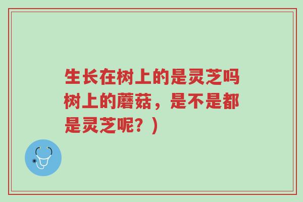 生长在树上的是灵芝吗树上的蘑菇，是不是都是灵芝呢？)-第1张图片-超越