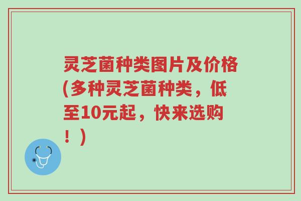 灵芝菌种类图片及价格(多种灵芝菌种类,低至10元起,快来选购!)-第1张图片-超越 灵芝菌种类图片及价格(多种灵芝菌种类,低至10元起,快来选购!)-第1张图片-超越