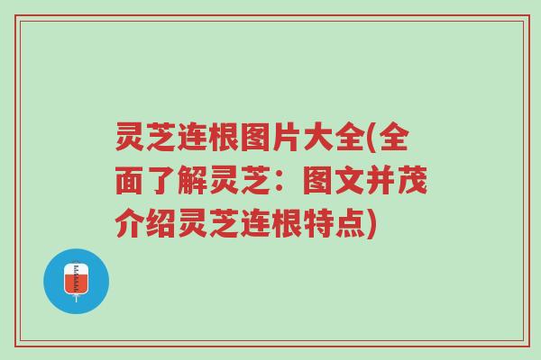 灵芝连根图片大全(全面了解灵芝:图文并茂介绍灵芝连根特点)-第1张图片-超越 灵芝连根图片大全(全面了解灵芝:图文并茂介绍灵芝连根特点)-第1张图片-超越