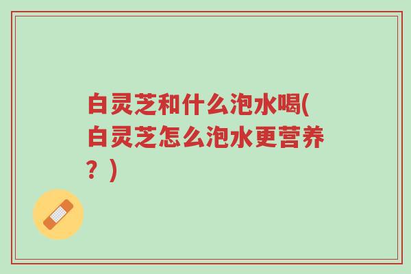 白灵芝和什么泡水喝(白灵芝怎么泡水更营养?)-第1张图片-超越 白灵芝和什么泡水喝(白灵芝怎么泡水更营养?)-第1张图片-超越