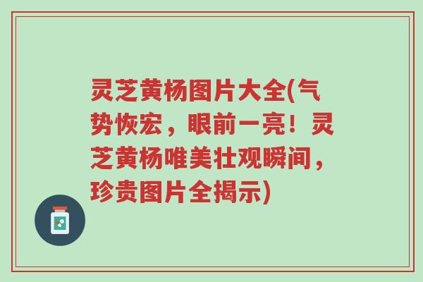 灵芝黄杨图片大全(气势恢宏,眼前一亮!灵芝黄杨唯美壮观瞬间,珍贵图片全揭示)-第1张图片-超越 灵芝黄杨图片大全(气势恢宏,眼前一亮!灵芝黄杨唯美壮观瞬间,珍贵图片全揭示)-第1张图片-超越