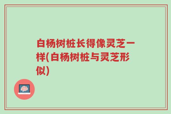 白杨树桩长得像灵芝一样(白杨树桩与灵芝形似)-第1张图片-超越 白杨树桩长得像灵芝一样(白杨树桩与灵芝形似)-第1张图片-超越