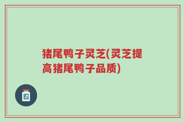 猪尾鸭子灵芝(灵芝提高猪尾鸭子品质)-第1张图片-超越 猪尾鸭子灵芝(灵芝提高猪尾鸭子品质)-第1张图片-超越
