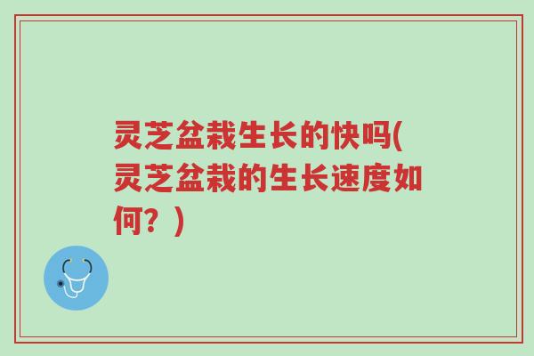 灵芝盆栽生长的快吗(灵芝盆栽的生长速度如何?)-第1张图片-超越 灵芝盆栽生长的快吗(灵芝盆栽的生长速度如何?)-第1张图片-超越