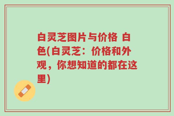 白灵芝图片与价格 白色(白灵芝:价格和外观,你想知道的都在这里)-第1张图片-超越 白灵芝图片与价格 白色(白灵芝:价格和外观,你想知道的都在这里)-第1张图片-超越
