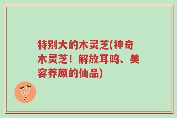 特别大的木灵芝(神奇木灵芝!解放耳鸣、美容养颜的仙品)-第1张图片-超越 特别大的木灵芝(神奇木灵芝!解放耳鸣、美容养颜的仙品)-第1张图片-超越