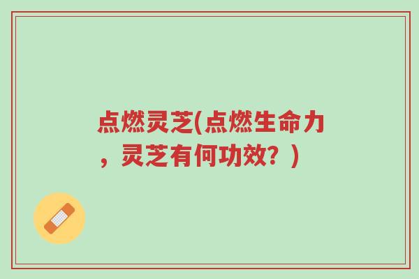 点燃灵芝(点燃生命力，灵芝有何功效？)-第1张图片-超越