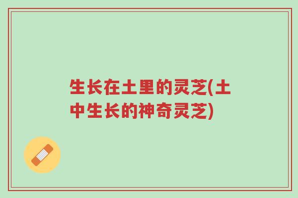 生长在土里的灵芝(土中生长的神奇灵芝)-第1张图片-超越 生长在土里的灵芝(土中生长的神奇灵芝)-第1张图片-超越