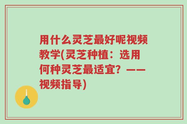 用什么灵芝最好呢视频教学(灵芝种植:选用何种灵芝最适宜?——视频指导)-第1张图片-超越 用什么灵芝最好呢视频教学(灵芝种植:选用何种灵芝最适宜?——视频指导)-第1张图片-超越