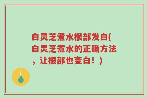 白灵芝煮水根部发白(白灵芝煮水的正确方法,让根部也变白!)-第1张图片-超越 白灵芝煮水根部发白(白灵芝煮水的正确方法,让根部也变白!)-第1张图片-超越