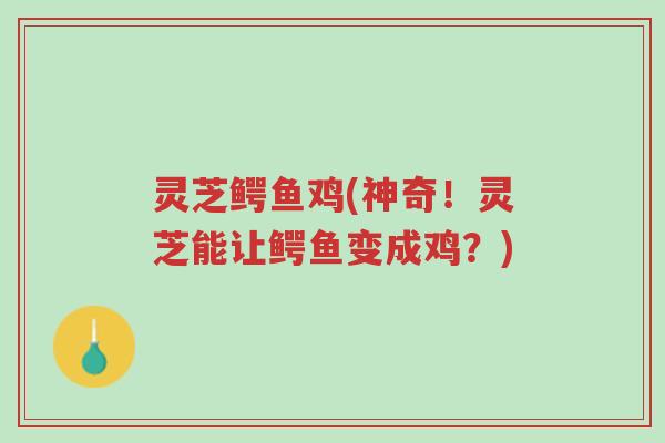灵芝鳄鱼鸡(神奇!灵芝能让鳄鱼变成鸡?)-第1张图片-超越 灵芝鳄鱼鸡(神奇!灵芝能让鳄鱼变成鸡?)-第1张图片-超越