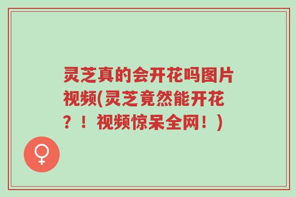 灵芝真的会开花吗图片视频(灵芝竟然能开花?!视频惊呆全网!)-第1张图片-超越 灵芝真的会开花吗图片视频(灵芝竟然能开花?!视频惊呆全网!)-第1张图片-超越
