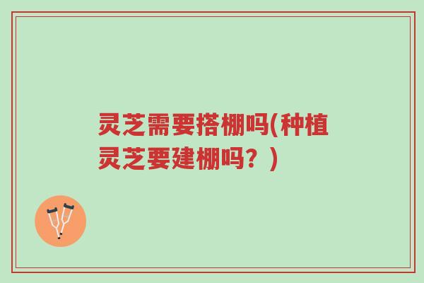 灵芝需要搭棚吗(种植灵芝要建棚吗?)-第1张图片-超越 灵芝需要搭棚吗(种植灵芝要建棚吗?)-第1张图片-超越