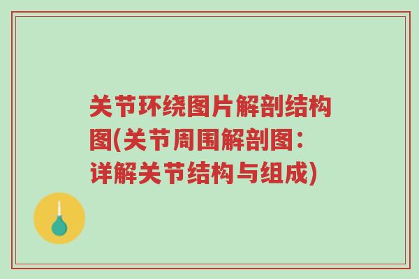 关节环绕图片解剖结构图(关节周围解剖图:详解关节结构与组成)-第1张图片-超越 关节环绕图片解剖结构图(关节周围解剖图:详解关节结构与组成)-第1张图片-超越