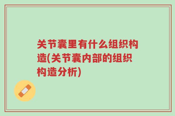 关节囊里有什么组织构造(关节囊内部的组织构造分析)-第1张图片-超越 关节囊里有什么组织构造(关节囊内部的组织构造分析)-第1张图片-超越