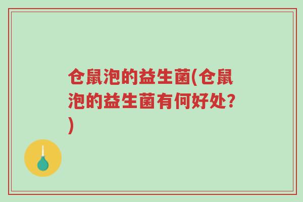 仓鼠泡的益生菌(仓鼠泡的益生菌有何好处？)-第1张图片-超越