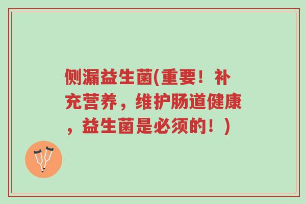 侧漏益生菌(重要!补充营养,维护肠道健康,益生菌是必须的!)-第1张图片-超越 侧漏益生菌(重要!补充营养,维护肠道健康,益生菌是必须的!)-第1张图片-超越